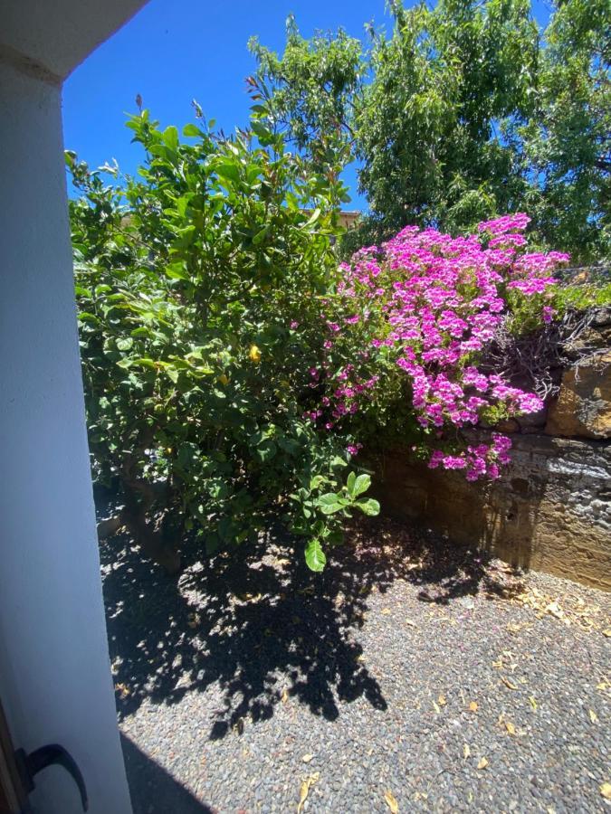 Vivienda Vacacional Casa Pancho Тайбике Экстерьер фото